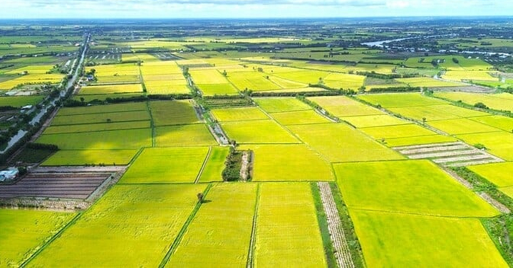 đất nông nghiệp