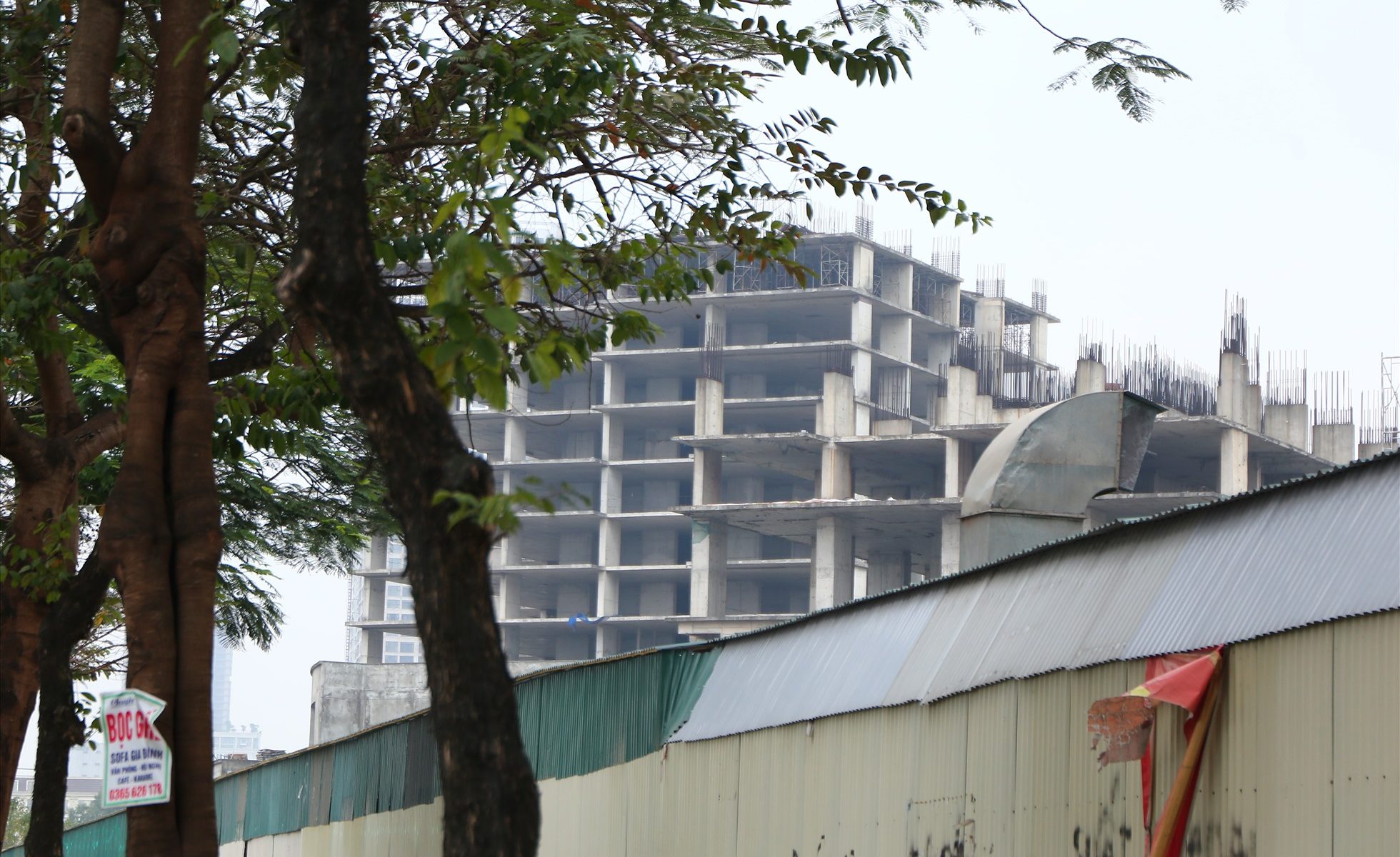 nguyen-thi-hue-chung-cu