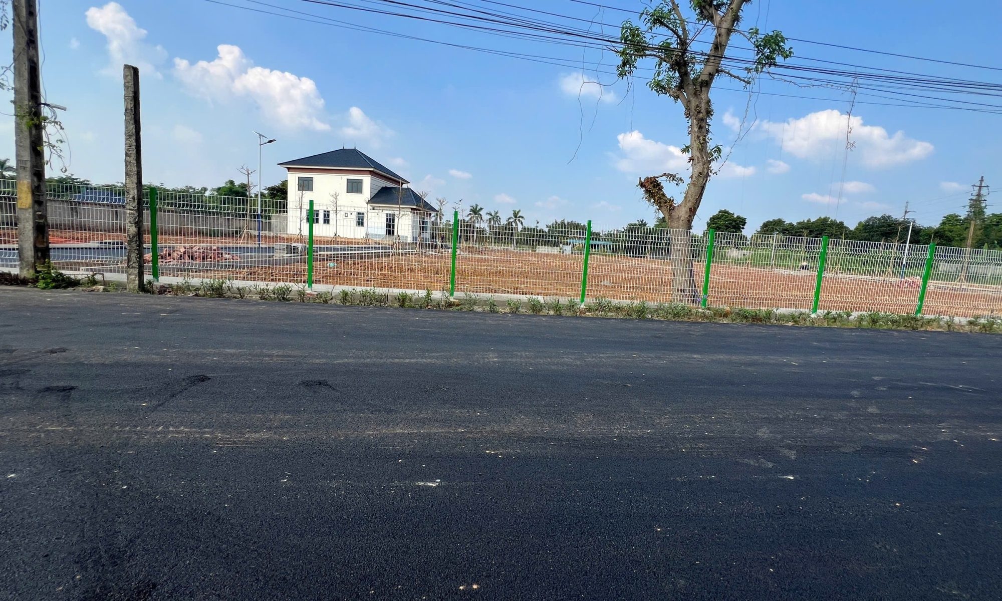 nguyen-thi-hue-dat-hoa-lac (1)