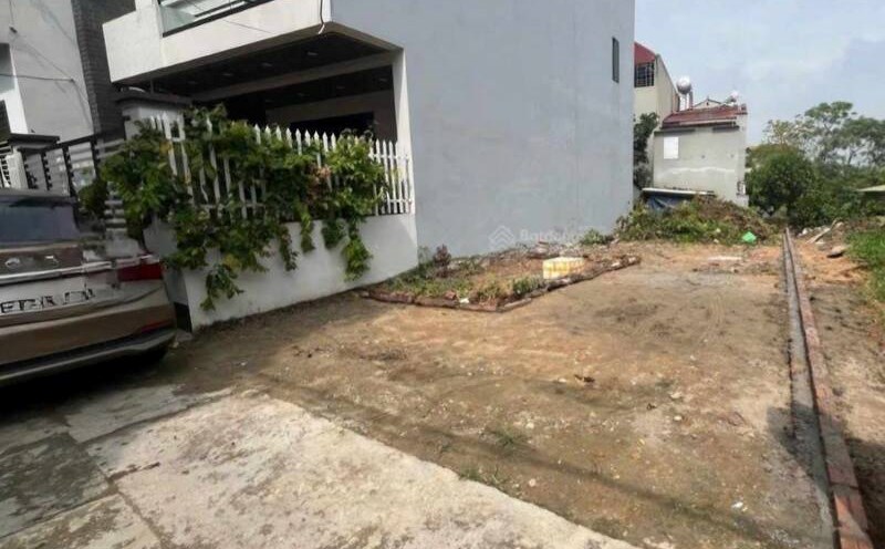 nguyen-thi-hue-ha-tang