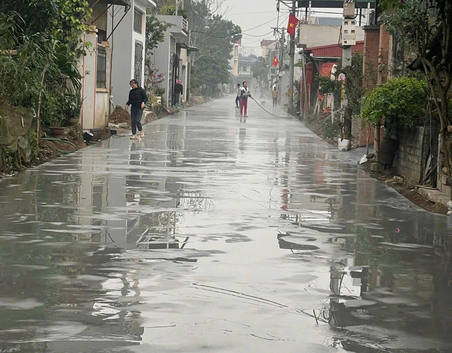 nguyen-thi-hue-ha-tang