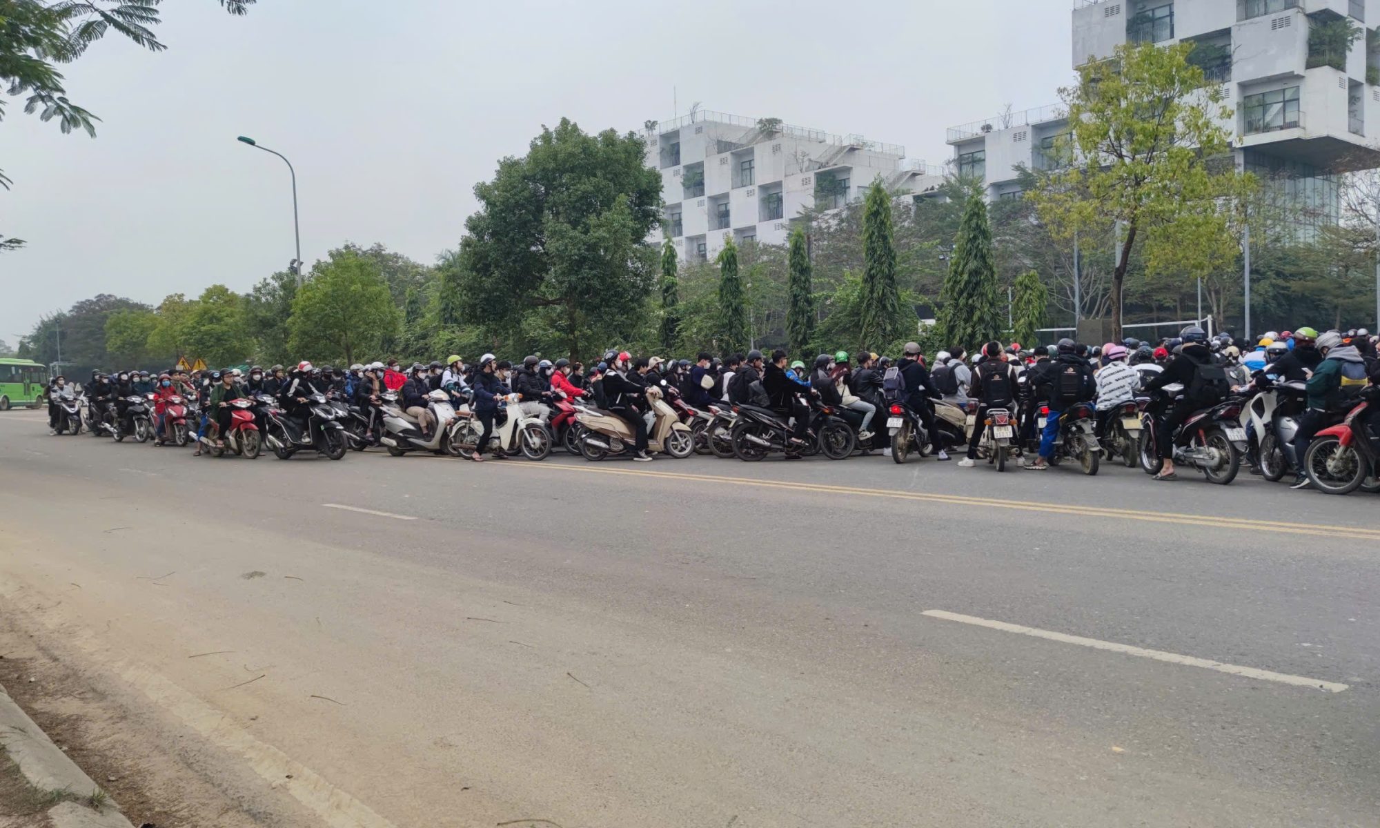 nguyen-thi-hue-hoa-lac