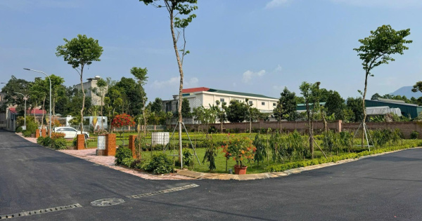 nguyen-thị-hue-ha-tang