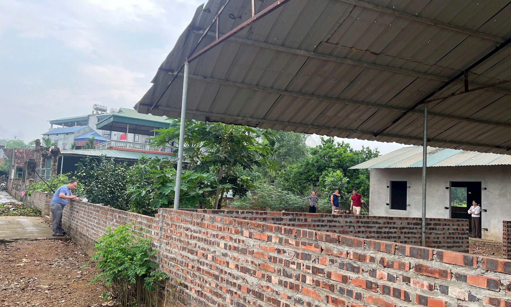 nguyen-thị-hue-ha-tang