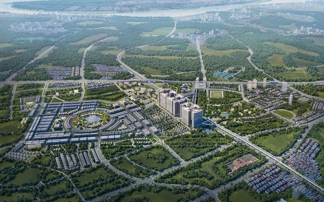 nguyen-thị-hue-bat-dong-san