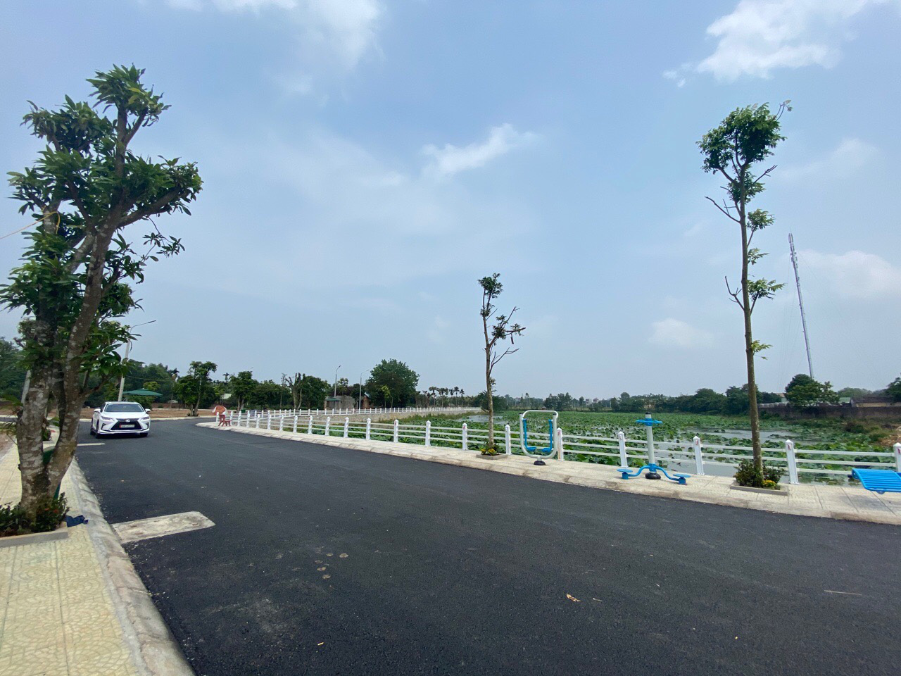 nguyen-thi-hue-dat-hoa-lac (1)