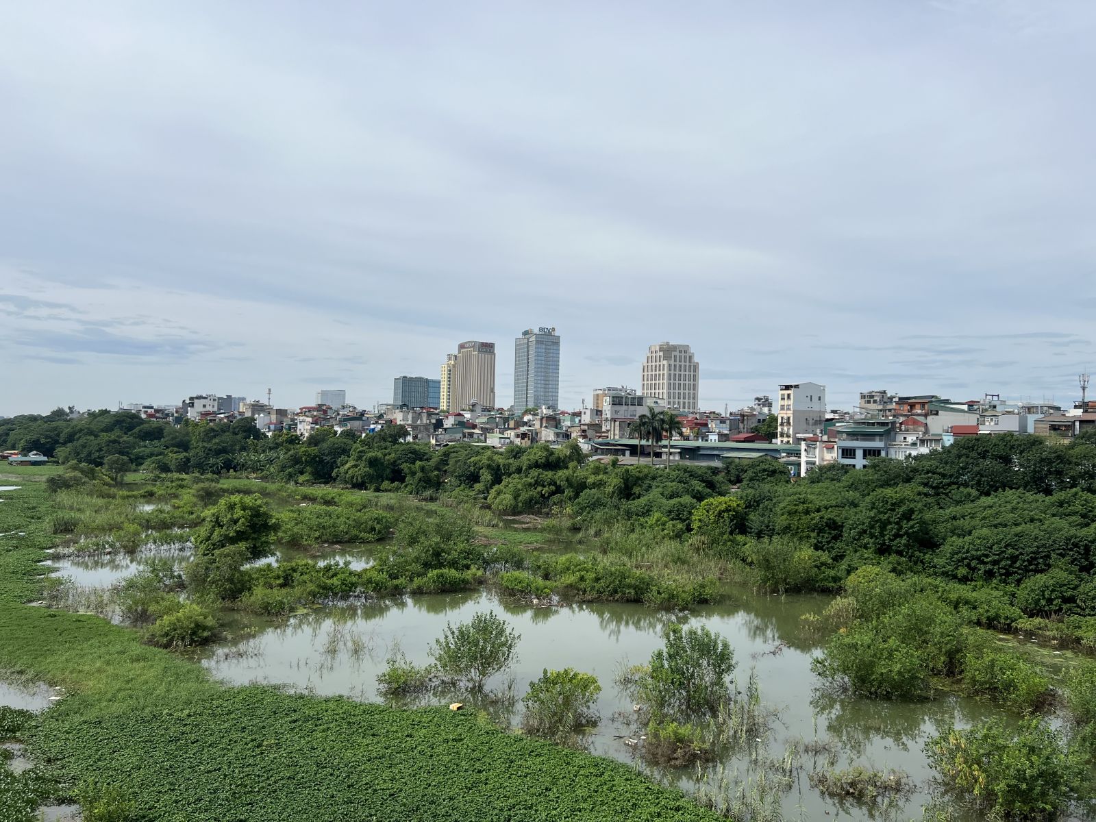 nguyen-thị-hue-bat-dong-san