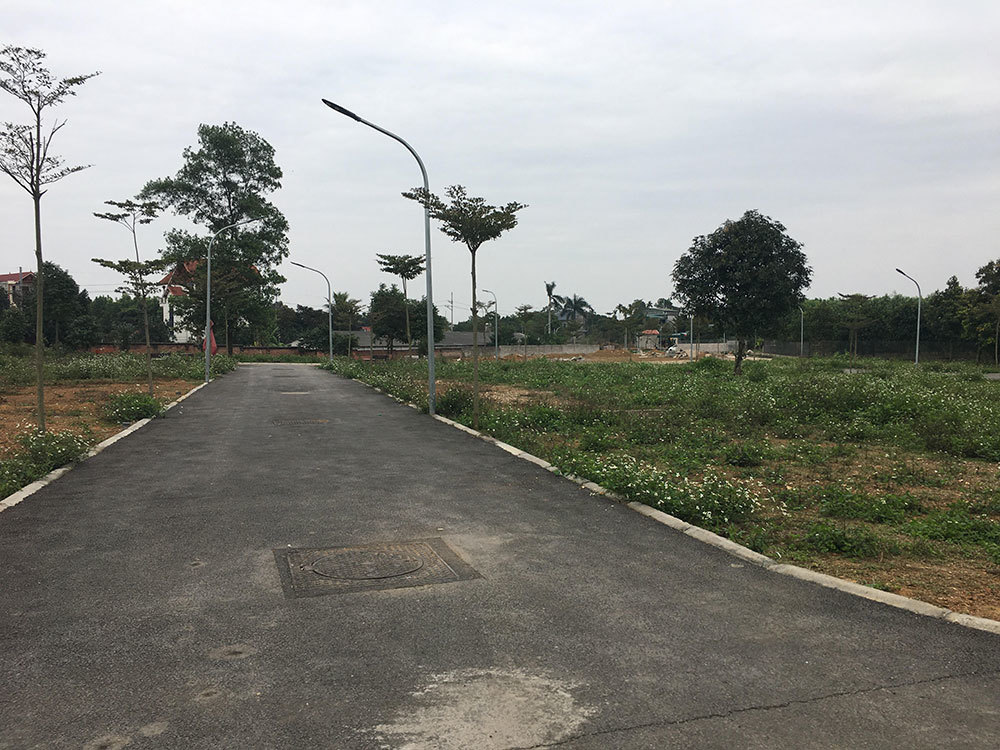 nguyen-thi-hue-dat-hoa-lac (1)